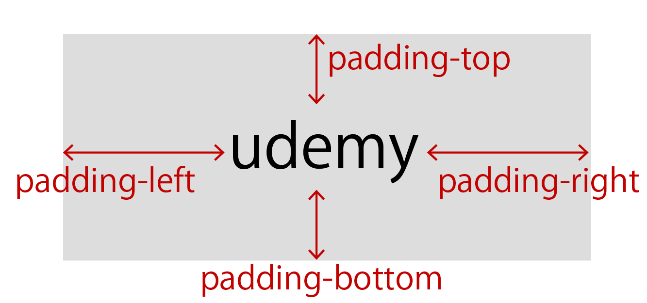 padding-top、padding-right、padding-bottom、padding-leftの解説