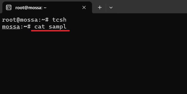 tcsh：「cat」コマンドで、対象のファイル名を途中まで入力した状態の画面