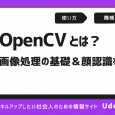 【Pythonで画像処理をはじめよう】OpenCVの使い方を解説